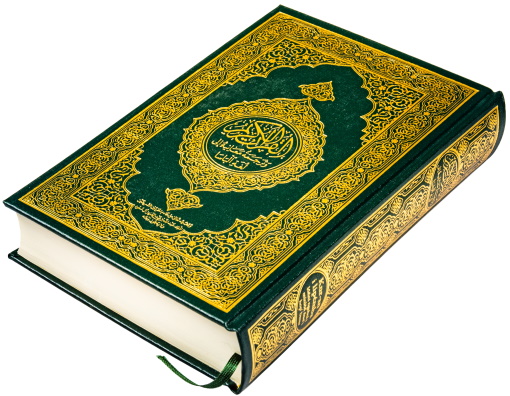 ترجمة الباسا